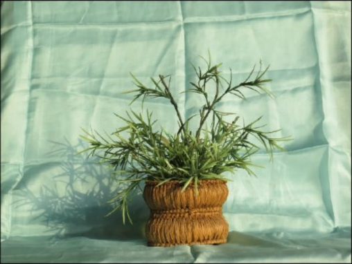 An Asal jar with rosemary sprigs arranged in it, against a pale mint fabric backdrop.