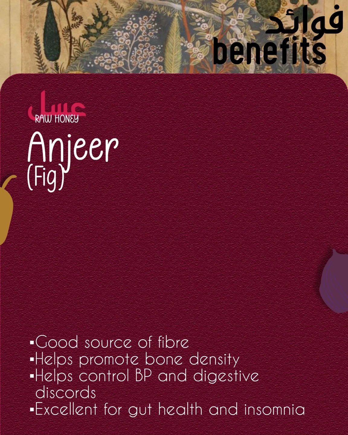 Benefits card for Anjeer fig honey on a maroon ground.