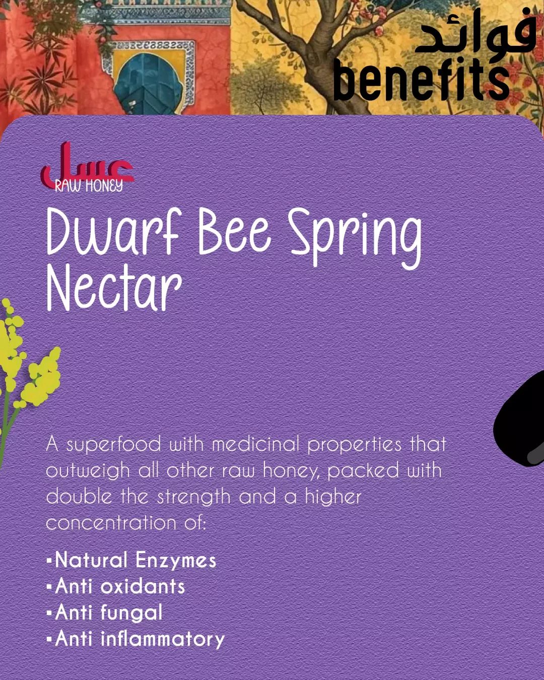 Benefits card for Dwarf Bee Spring Nectar on a violet ground.