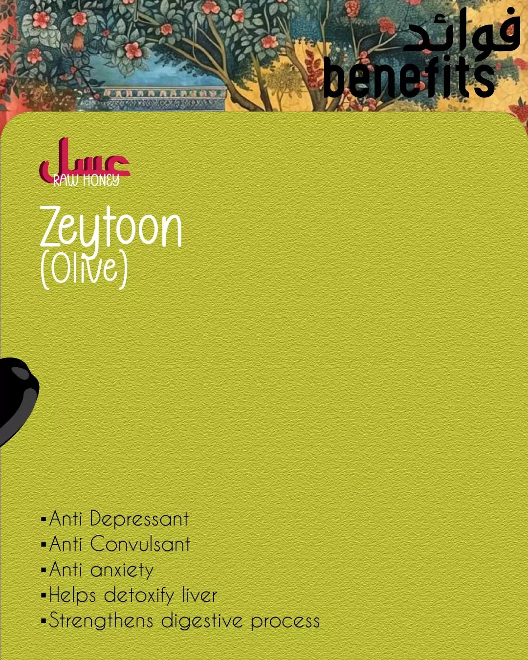 Benefits card for Zeytoon olive honey on an olive ground.